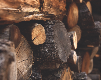 Lorem ipsum pain sit amet