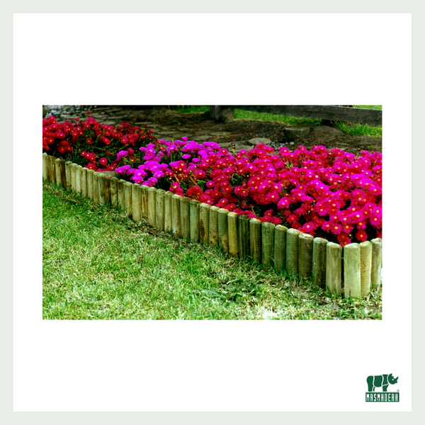 Borde Jardinera